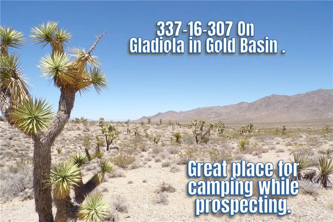 Property from 337-16-307 Gladiola Road - KW - Meadview, Arizona, 86444