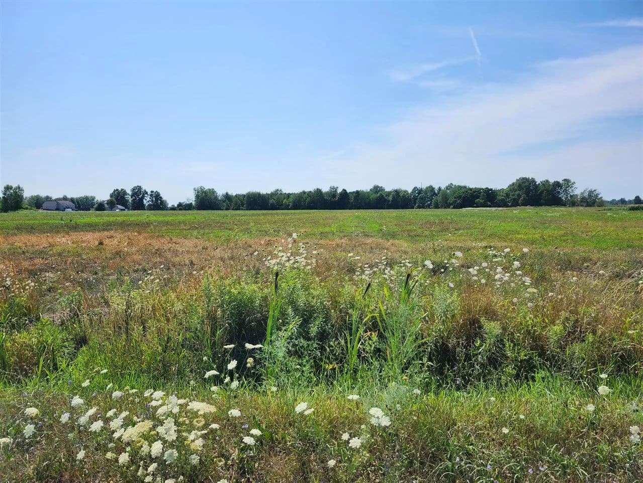 Property from 5425 88th - KW - Zeeland, Michigan, 49464