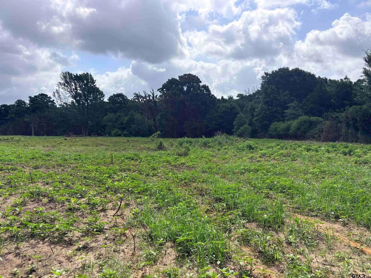 16 Acres of Land for Sale in Brownsboro, Texas - Brownsboro, Texas, 75756