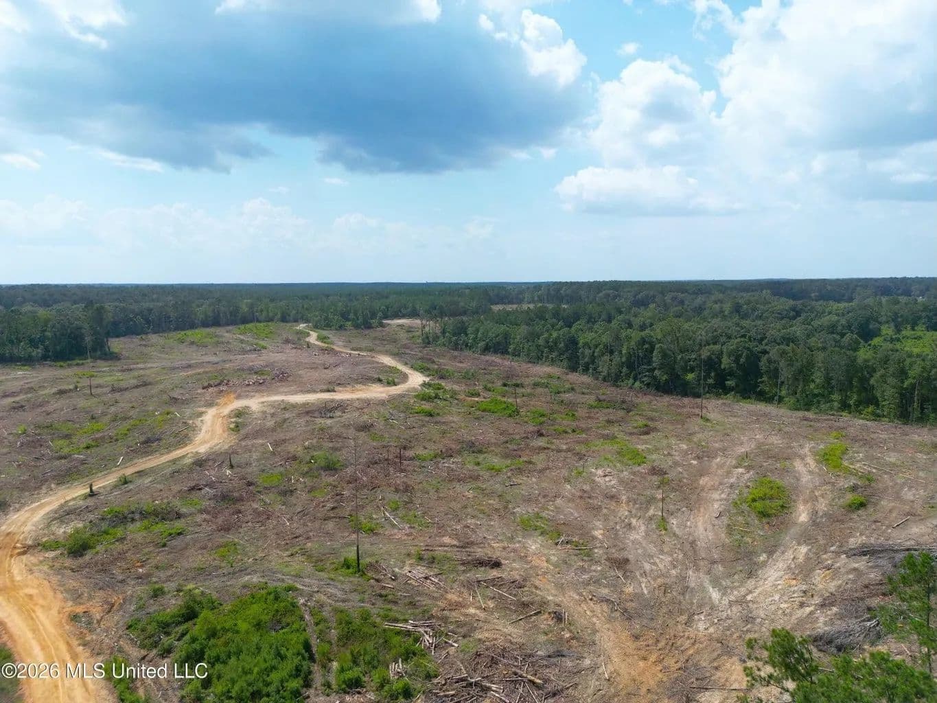 96.5+- Acres in Lincoln County MS - Bogue Chitto, Mississippi, 39629