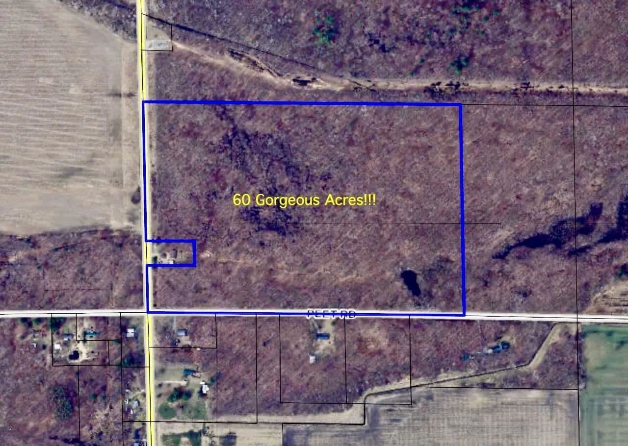 60 Acres of Land for Sale in Elsie, MI - Elsie, Michigan, 48831