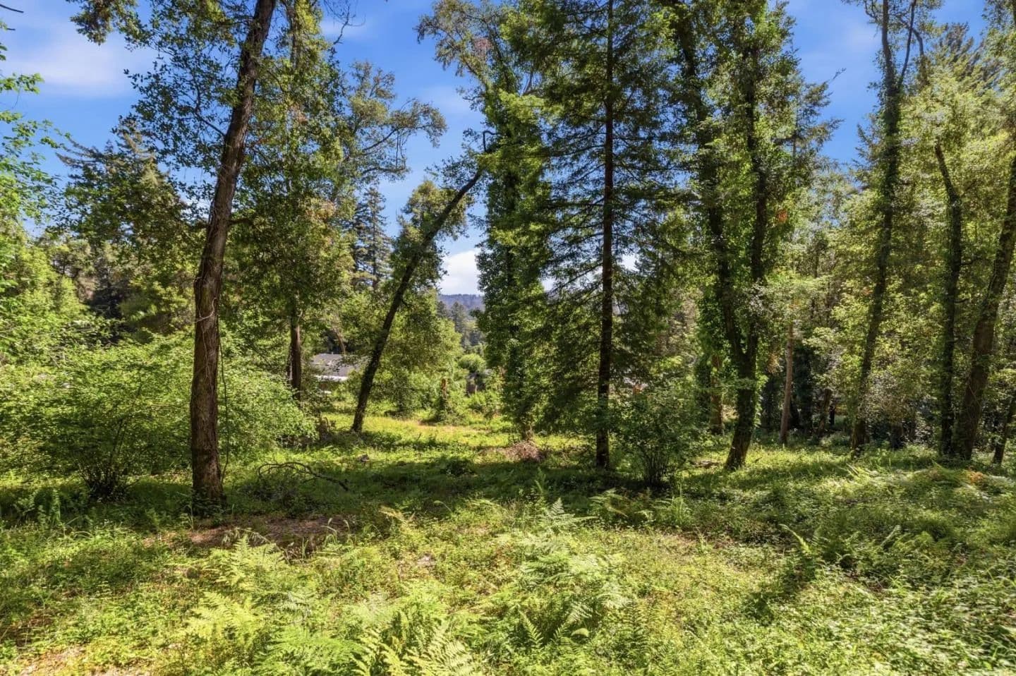 Property from 0 Garfield Way - KW - Felton, California, 95018