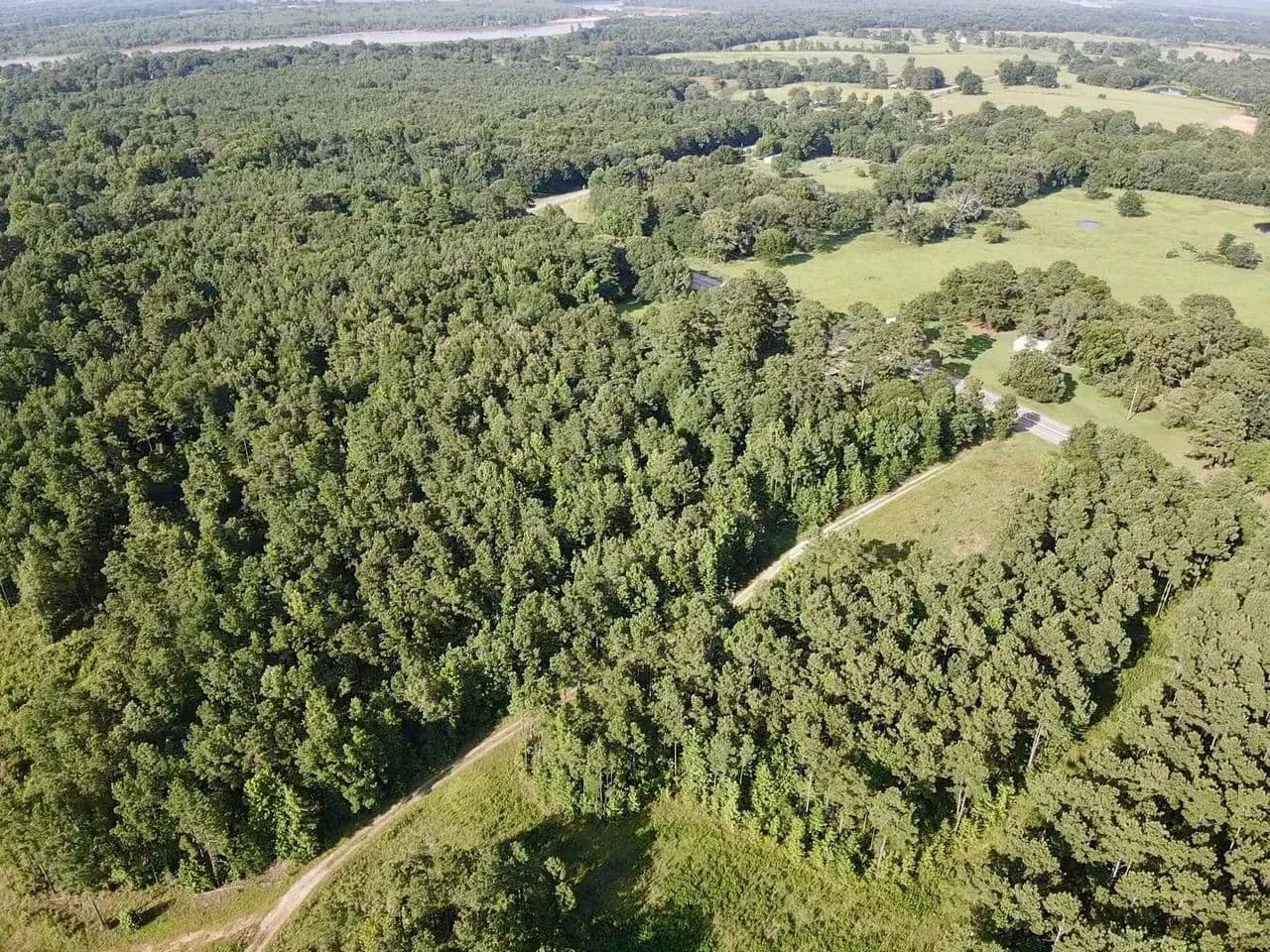 43± Acre Hunting & Recreation Tract | Red River County, Texas - Clarksville, Texas, 75426
