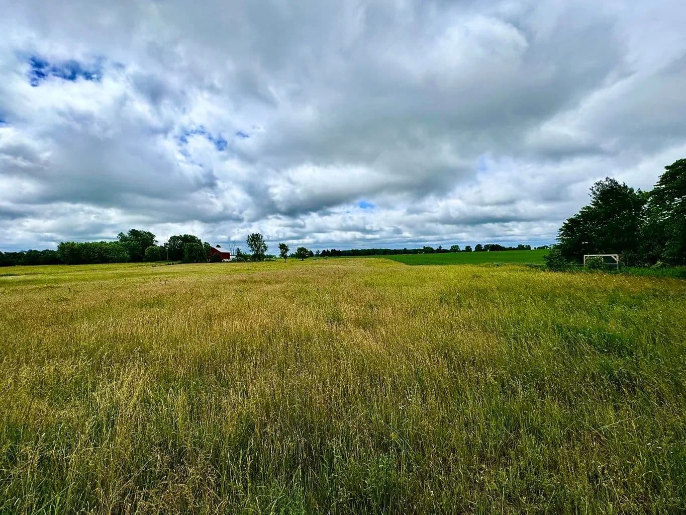 Vacant Land in Howard City - Howard City, Michigan, 49329