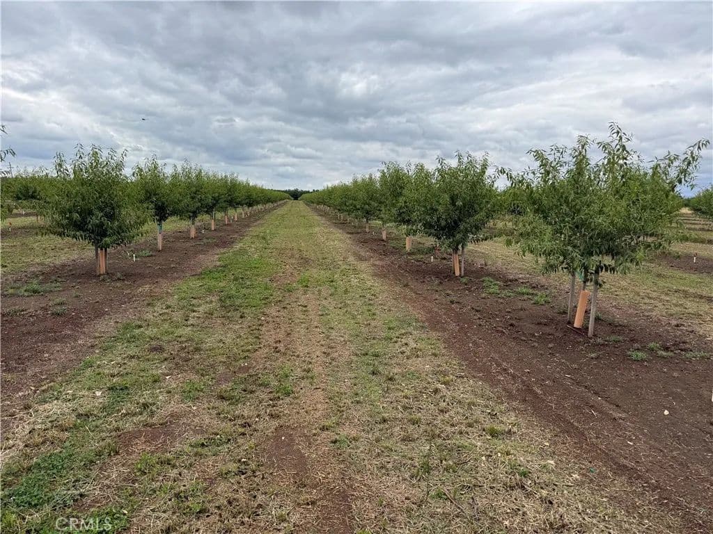 Property from 0 Hegan Lane - KW - Chico, California, 95928