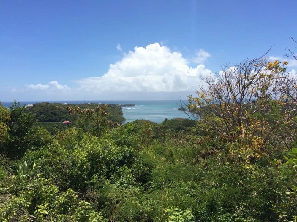 Vacant Land in St George - land for sale