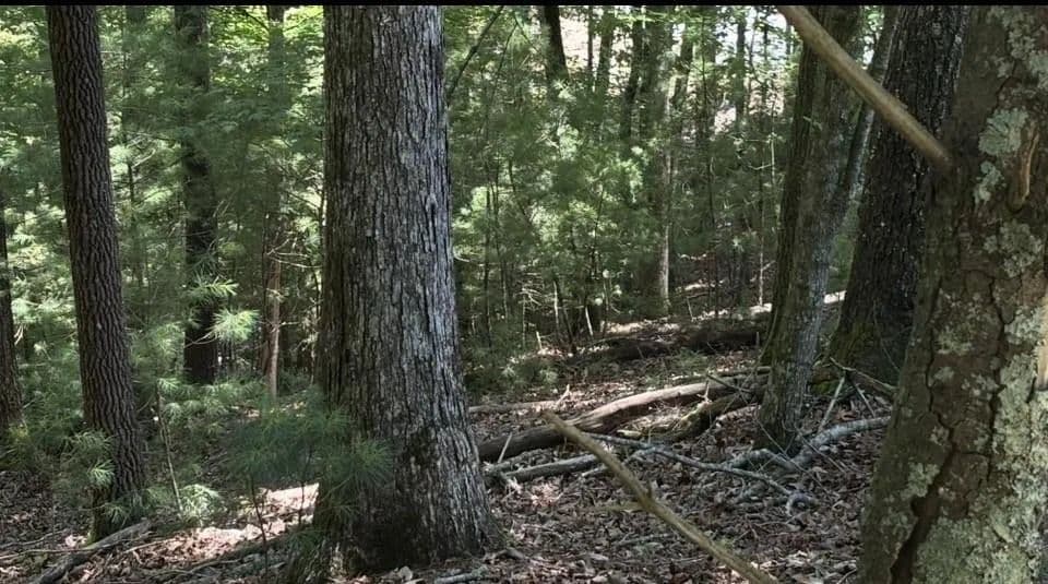 Property from Lot 3662 Hannah Court - KW - Ellijay, Georgia, 30540