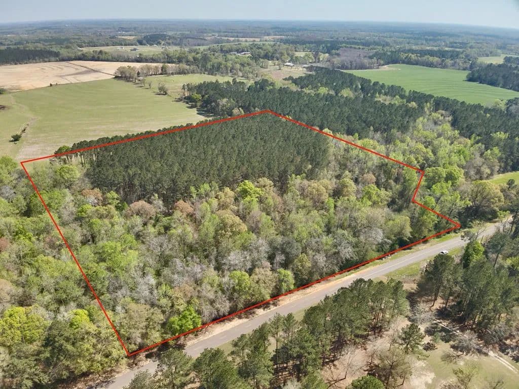 13.9 Acres of Land for Sale in Cottonwood, Alabama - Cottonwood, Alabama, 36320