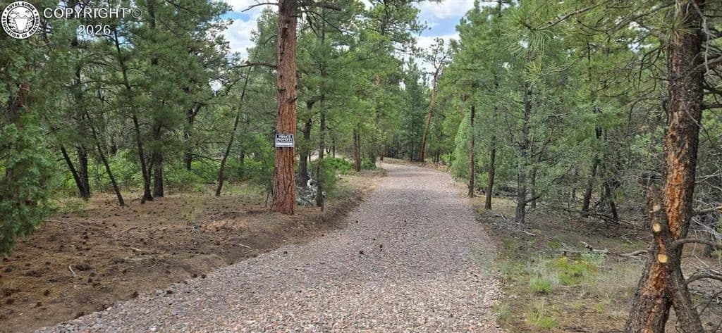 Property from 165 Mosswood Drive - KW - Cotopaxi, Colorado, 81223