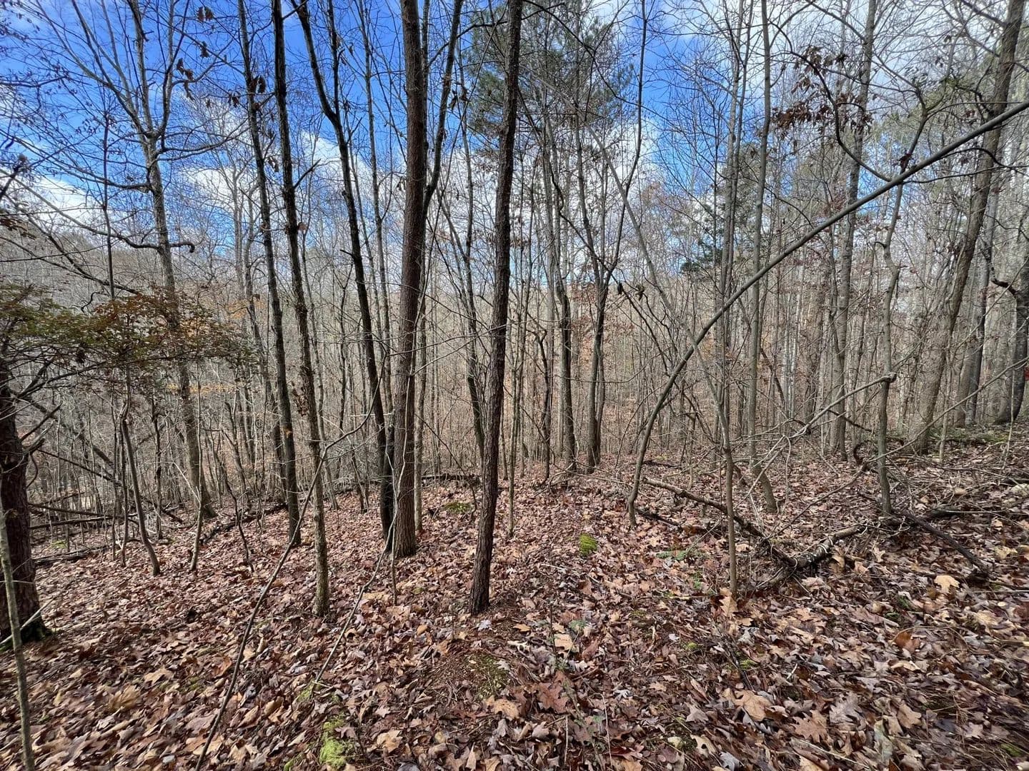 Property from 0 Smyrna Road - KW - Evensville, Tennessee, 37332