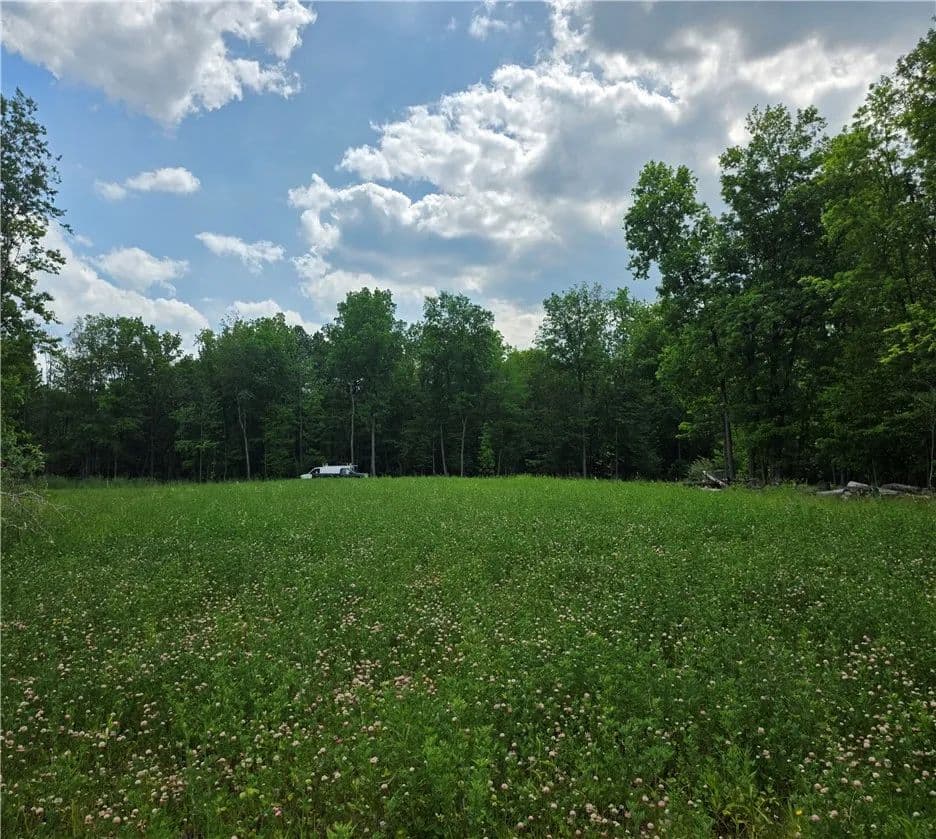 12.48 Acres of Land for Sale in Livonia, NY - Livonia, New York, 14487