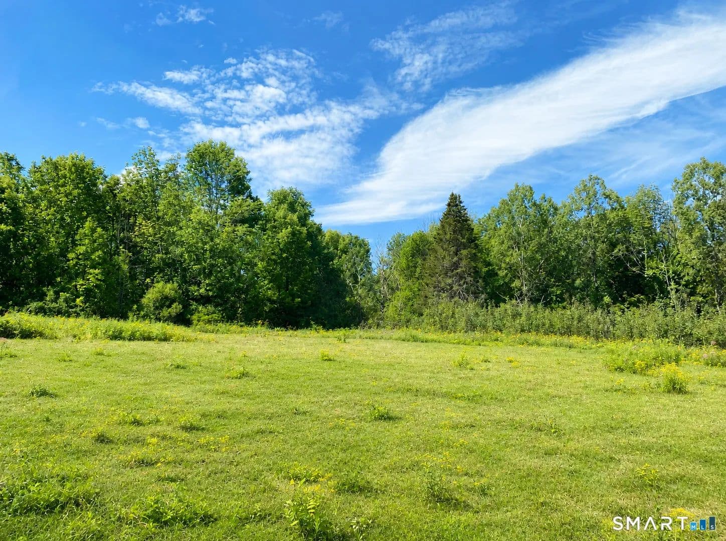 Vacant Land in Colebrook - Colebrook, Connecticut, 6021