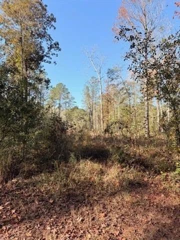 Vacant Land in Ponchatoula - Ponchatoula, Louisiana, 70454
