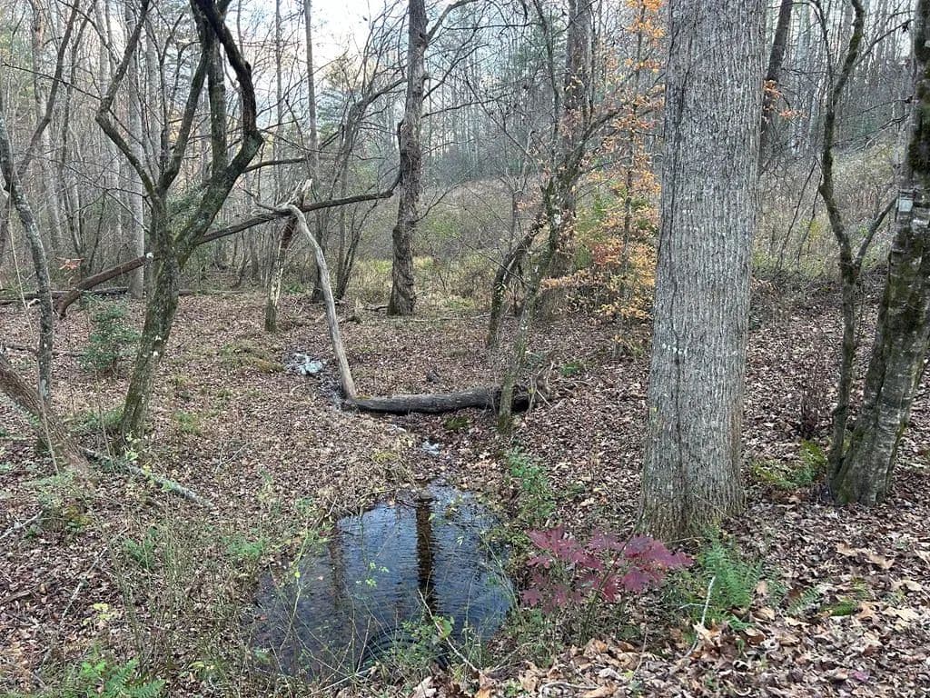 Property from Lot 12 Tombstone Drive - KW - Blairsville, Georgia, 30512