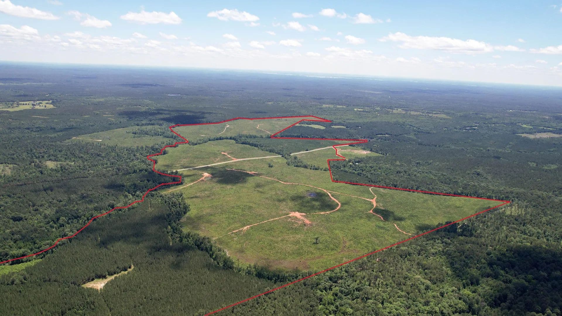 778.07 Acres of Land for Sale in Modoc, SC - Modoc, South Carolina, 29838