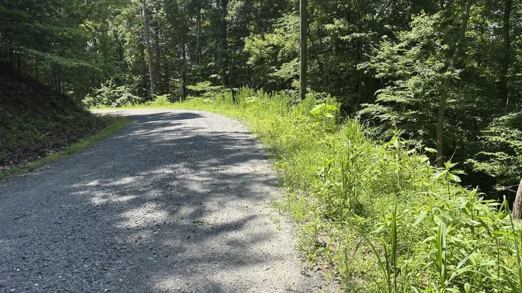 Property from Lot 781 Omen Circle - KW - Ellijay, Georgia, 30540