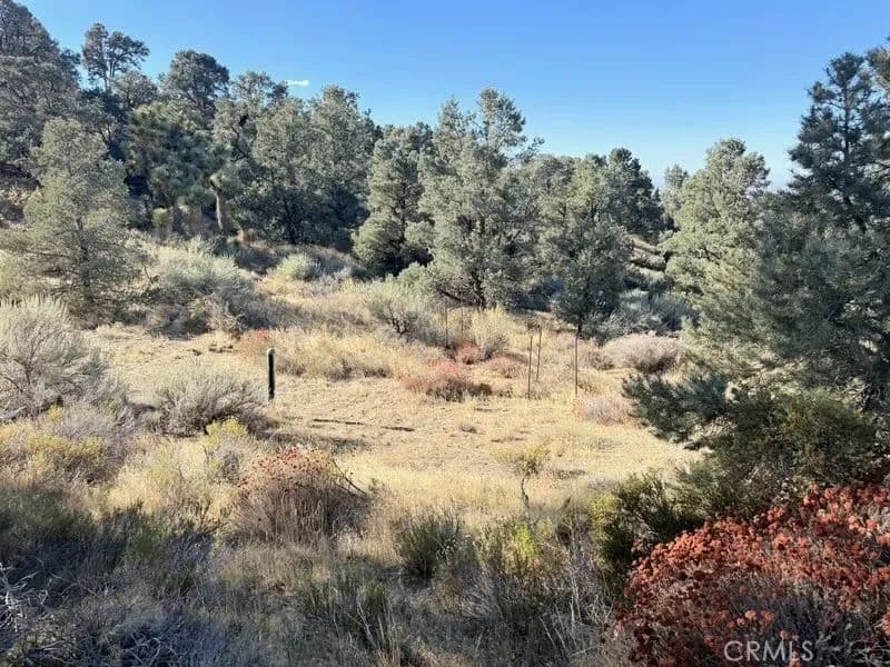 Vacant Land in Pinon Hills - land for sale
