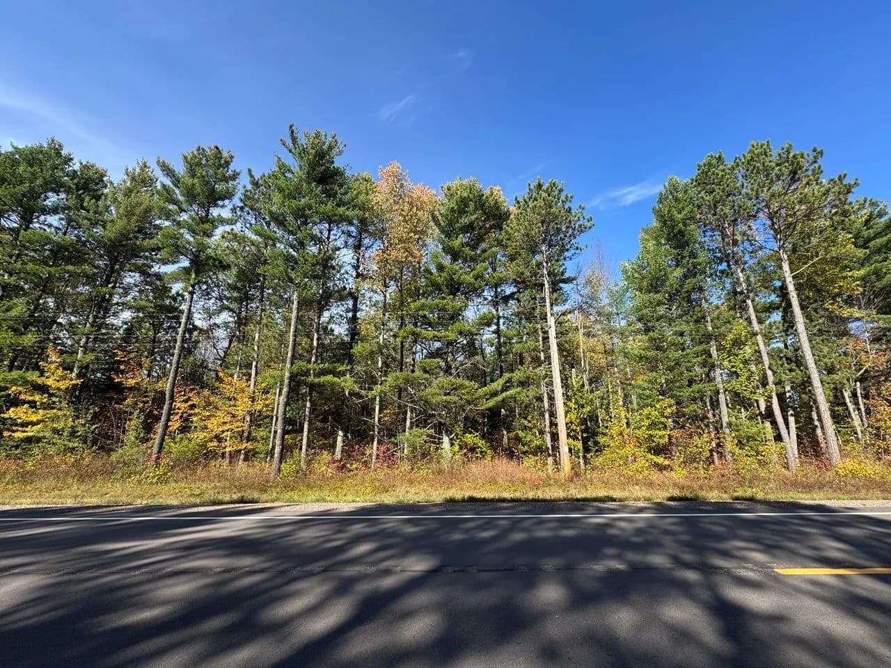Land -Agricultural (Not Zoned) in Mercer - Mercer, Wisconsin, 54547
