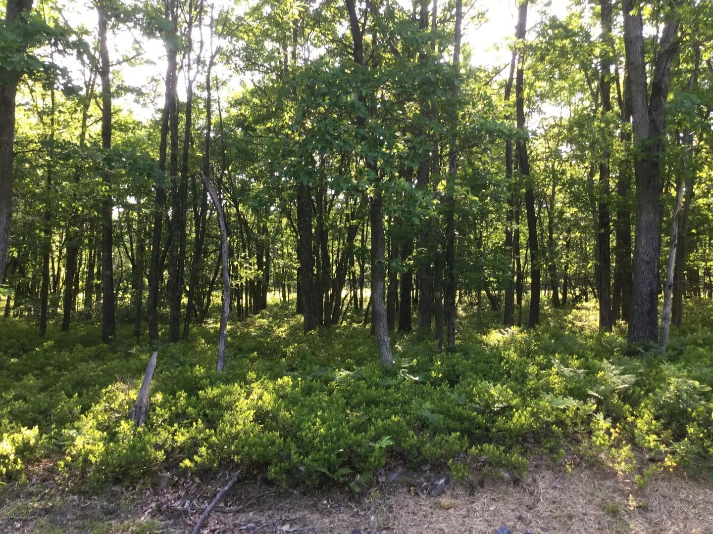 Property from TW Lot 107 Sweet Birch Drive - KW - , Pennsylvania, 18202