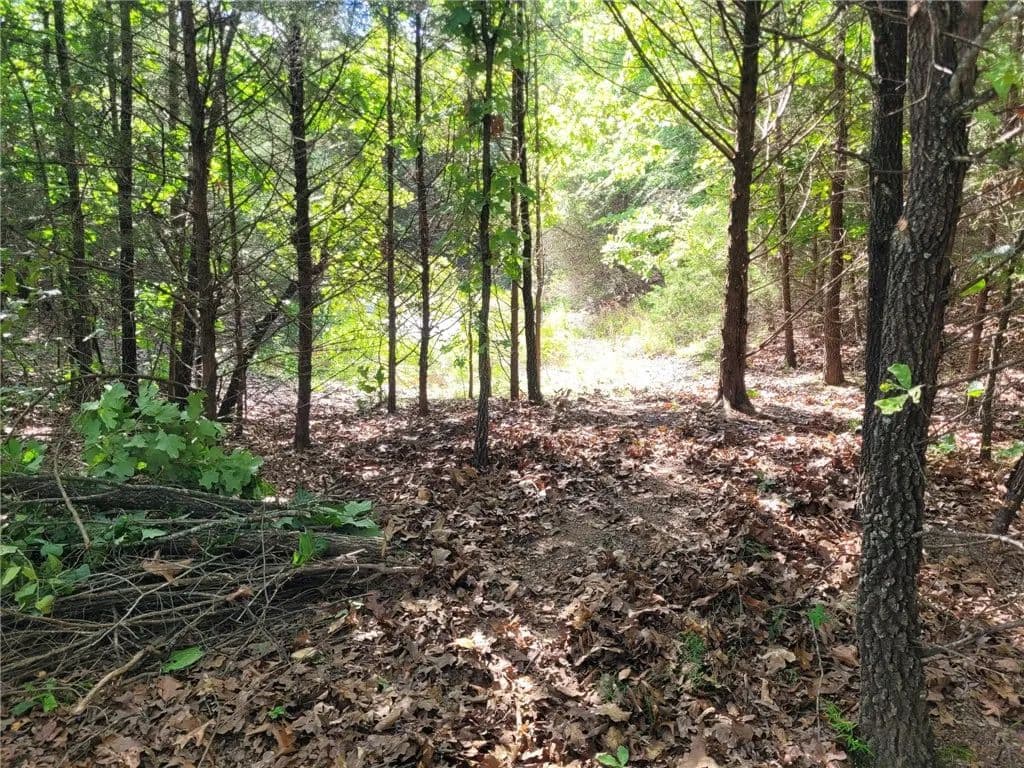 9.72 Acres of Land for Sale in Winslow, AR - Winslow, Arkansas, 72959
