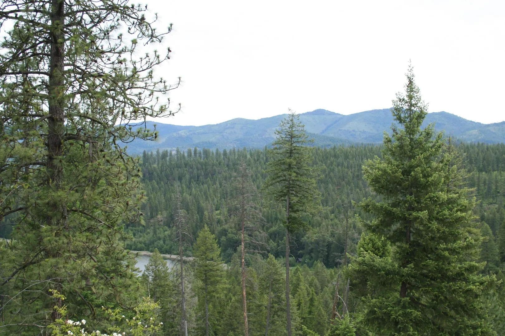 Property from 3XXX Beitey Rd - KW - Valley, Washington, 99181