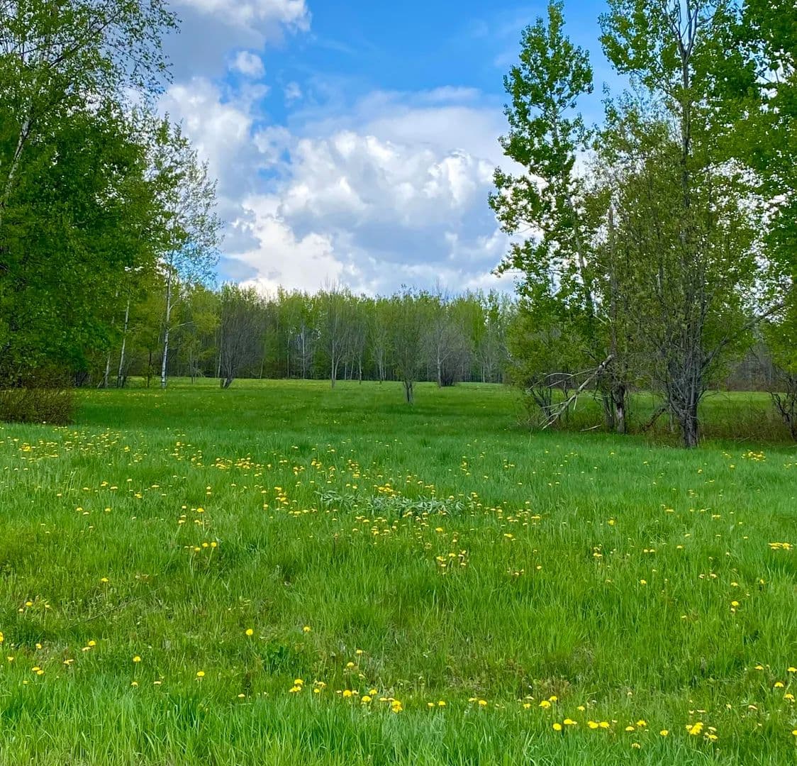 4.64 Acres of Land for Sale in Patten, Maine - Patten, Maine, 04765