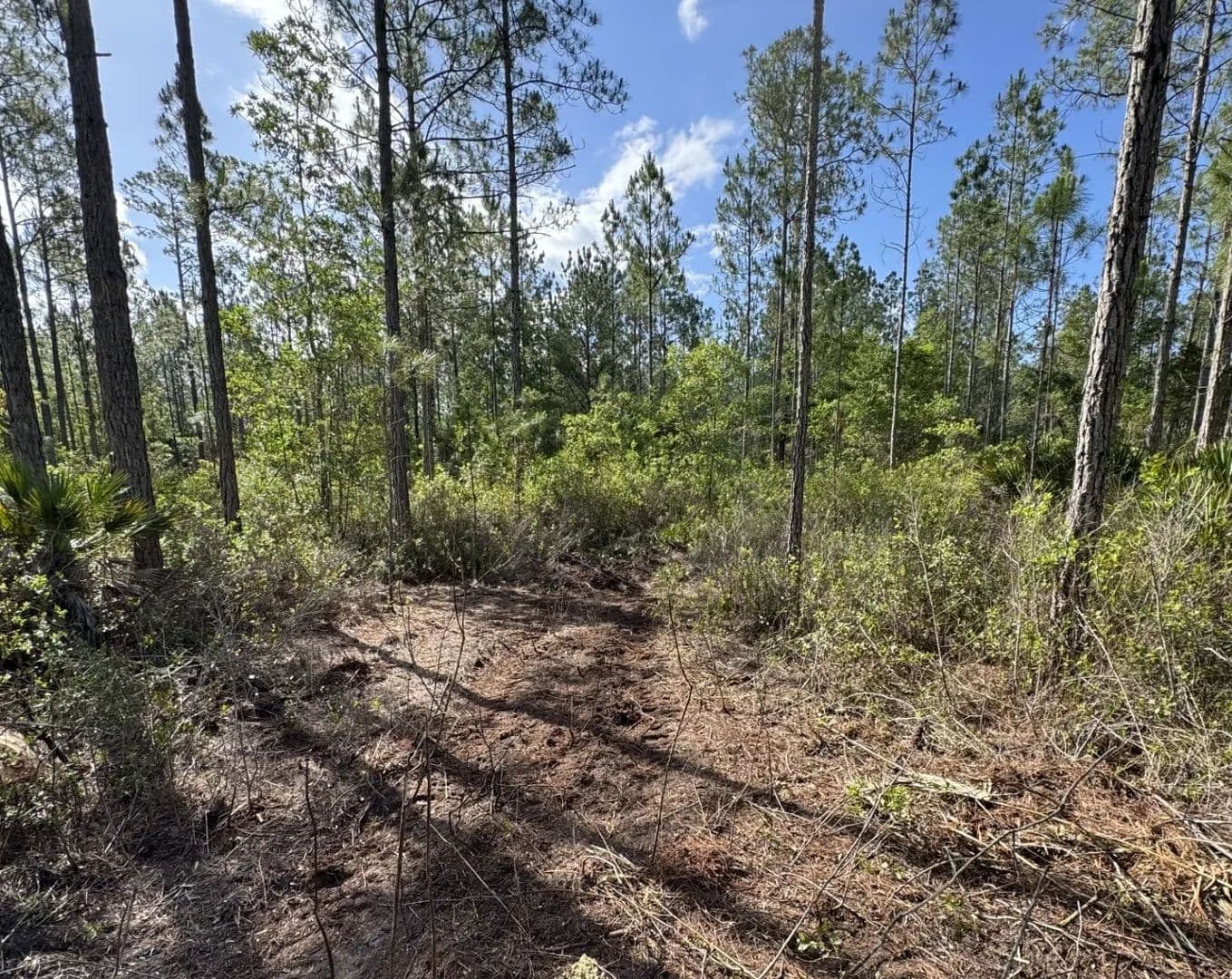Vacant Land (0-10 Acres) in Palatka - Palatka, Florida, 32177