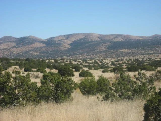Property from Lot 188 Pinon Springs Ranches - KW - Magdalena, New Mexico, 87825