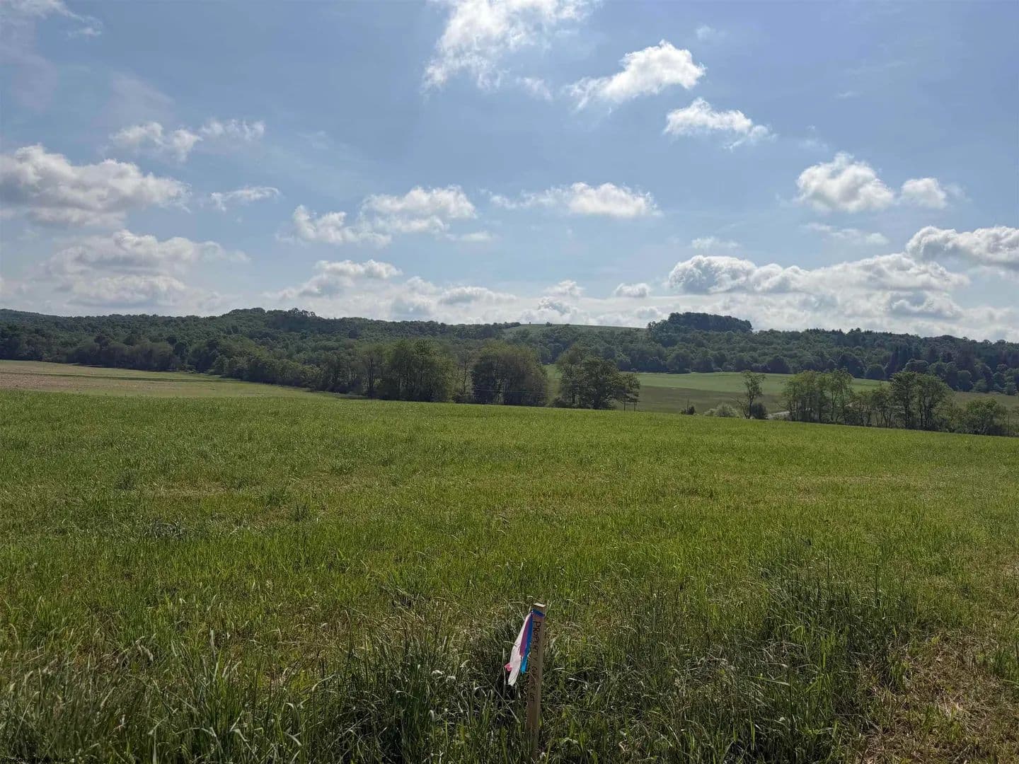 5 Acres of Land for Sale in Bruceton Mills, West Virginia - Bruceton Mills, West Virginia, 26525
