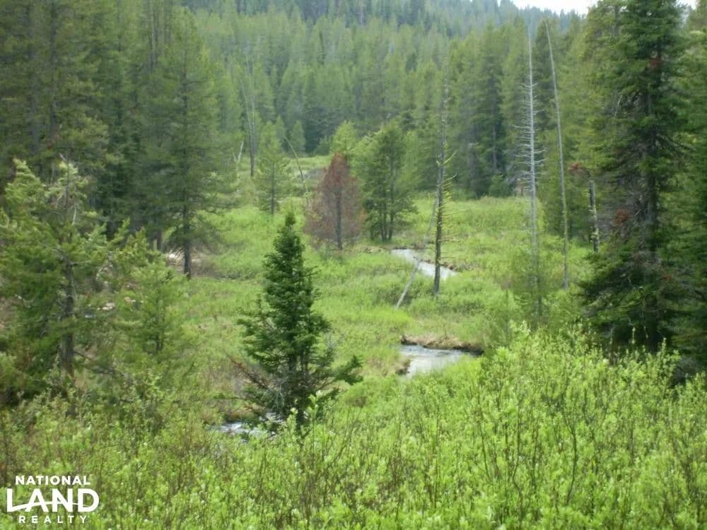 Mammoth Mine and Pristine Mountain Property with Creek - Idaho City, Idaho, 83607