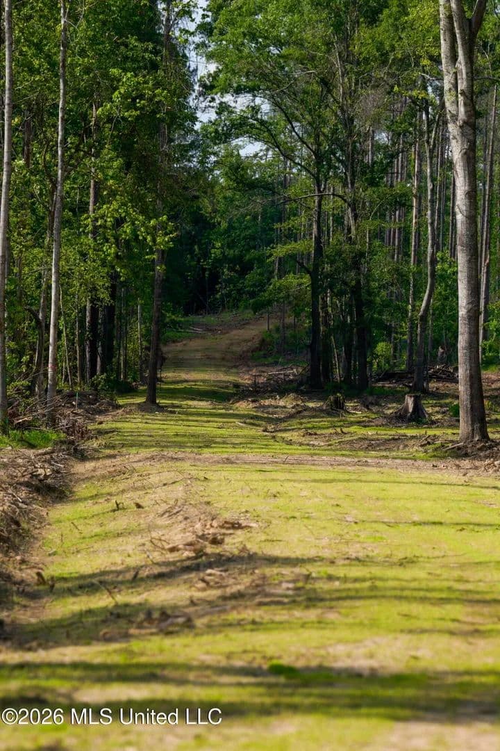 Property from Lorance Road - KW - Clinton, Mississippi, 39056