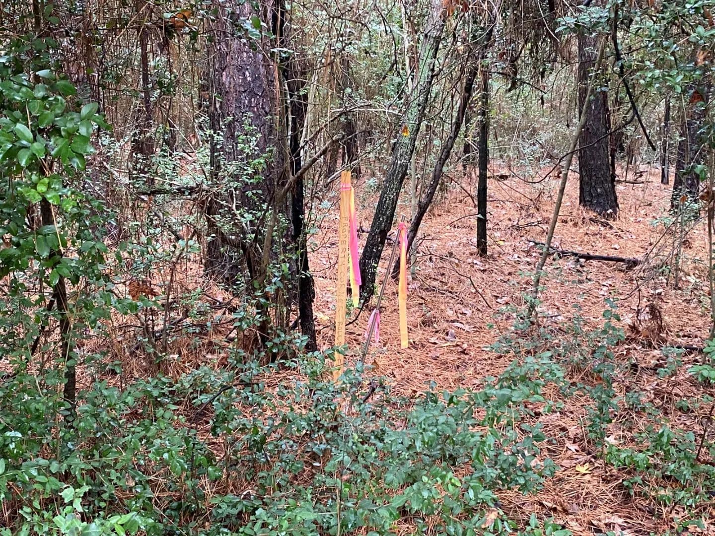 9 Acres of Development Land in Center, TX for Sale - land for sale