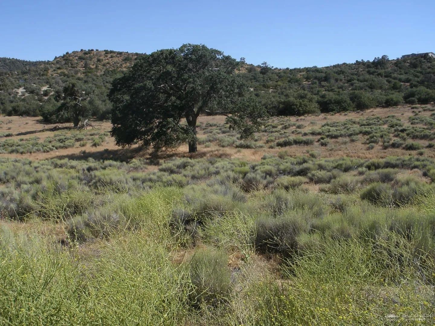 Property from 0 Umtali Road - KW - Tehachapi, California, 93561