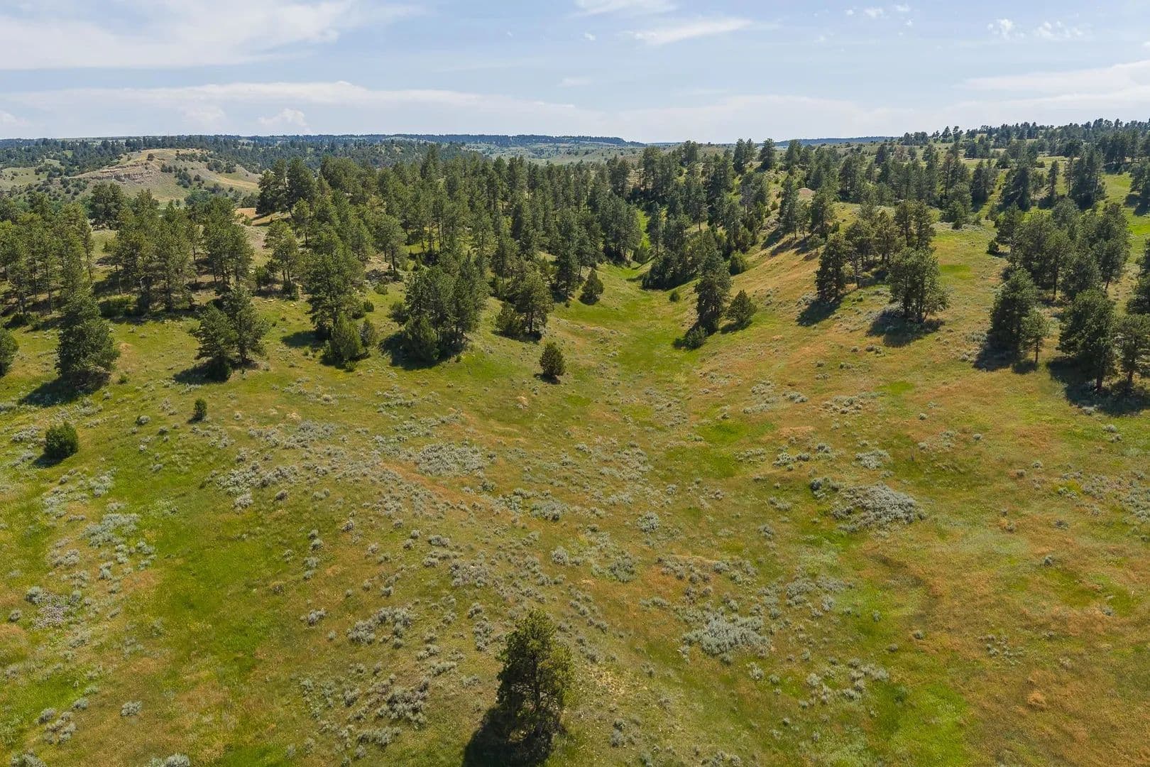 286 Acres of Land for Sale in Hulett, WY - Hulett, Wyoming, 82720