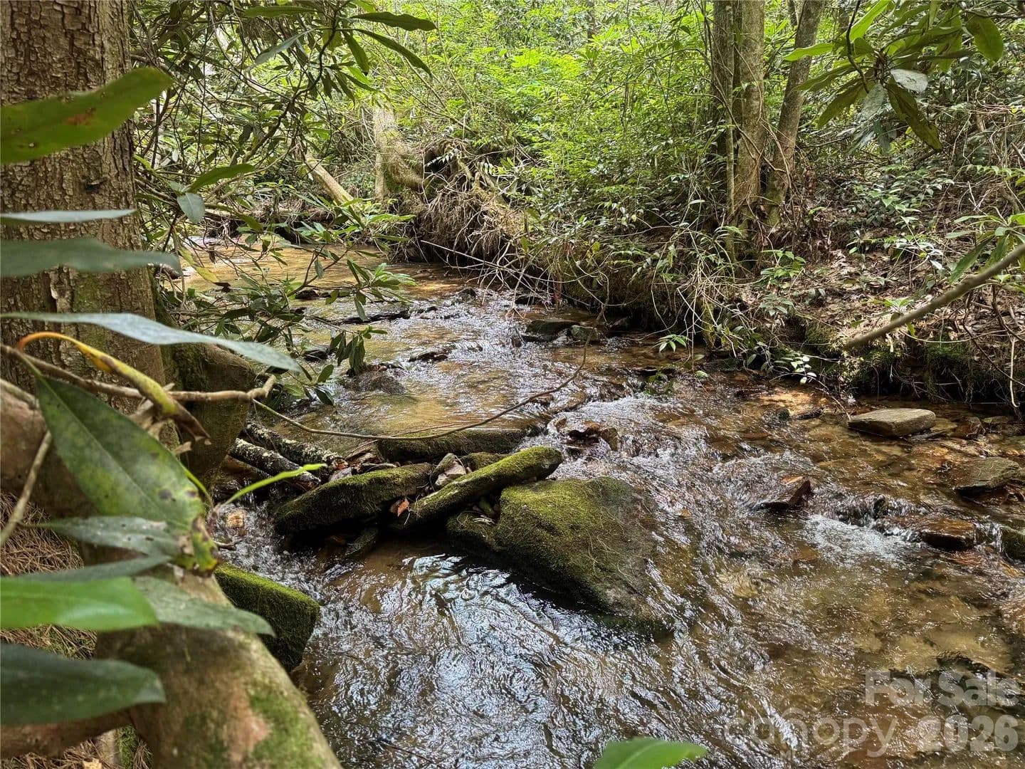 Property from Lot 45 Abby Falls Drive - KW - Rosman, North Carolina, 28772