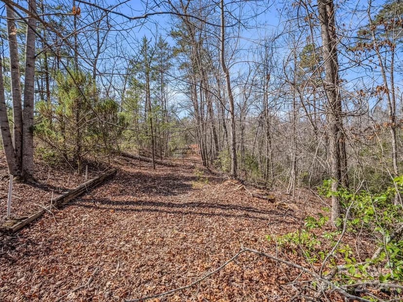 Lots & Land-Other in Mill Spring