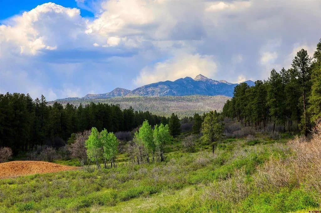 35.68 Acres of Land for Sale in Pagosa Springs, CO - Pagosa Springs, Colorado, 81147