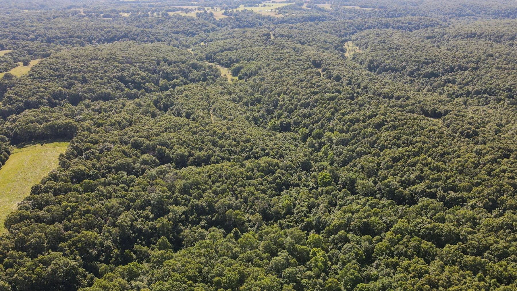 49.6 Acres of Land for Sale in Aurora, MO - Aurora, Missouri, 65605