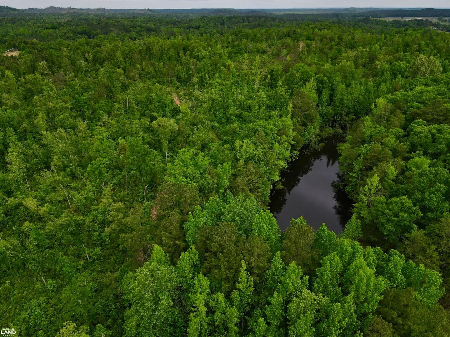 Blue Gut Creek Hunting and Recreation - Clanton, Alabama, 35046