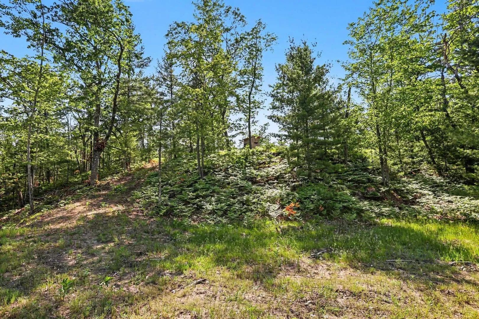 Property from 0 Fairview - KW - West Branch, Michigan, 48661