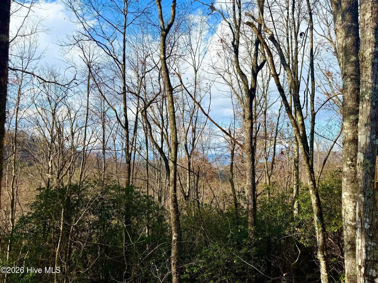3.06 Acres of Land for Sale in Brasstown, North Carolina - Brasstown, North Carolina, 28902