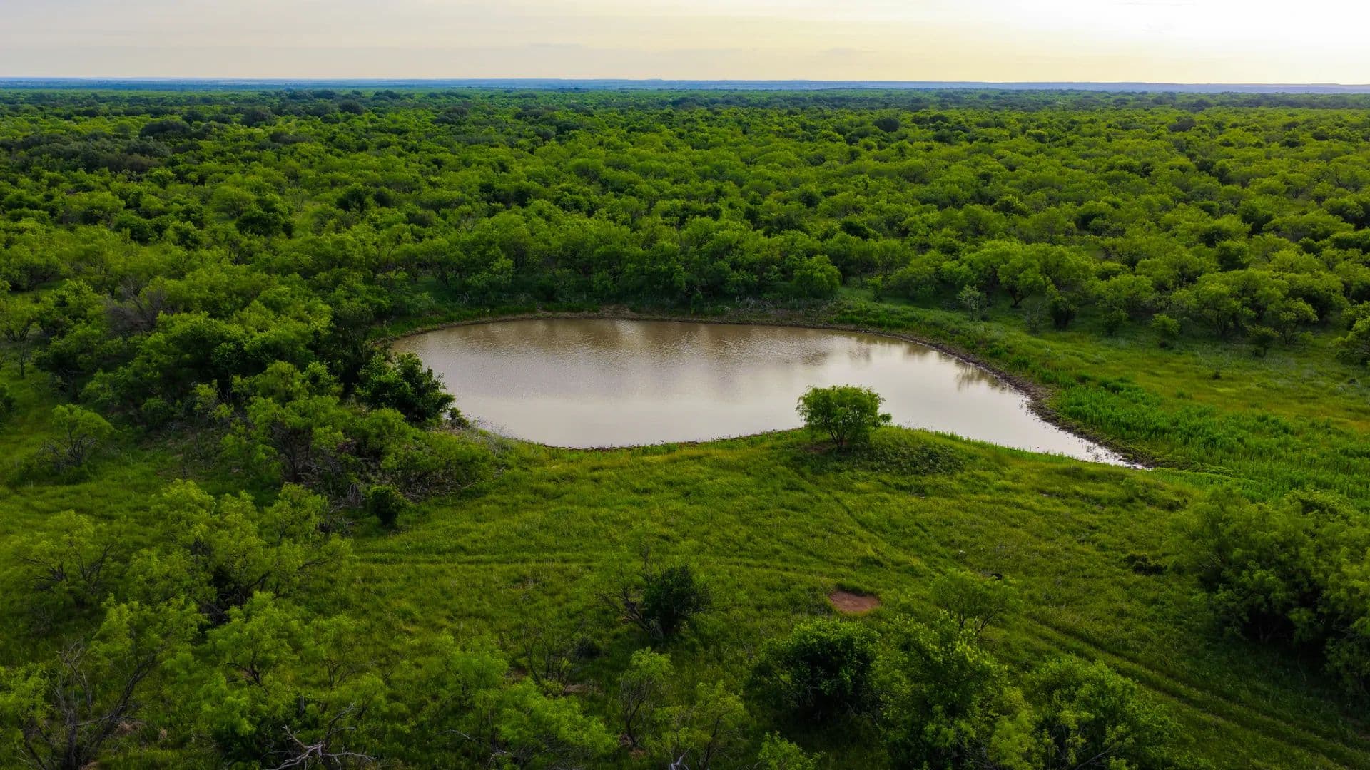 KENNEDY RANCH | 976 AC - Breckenridge, Texas, 76424