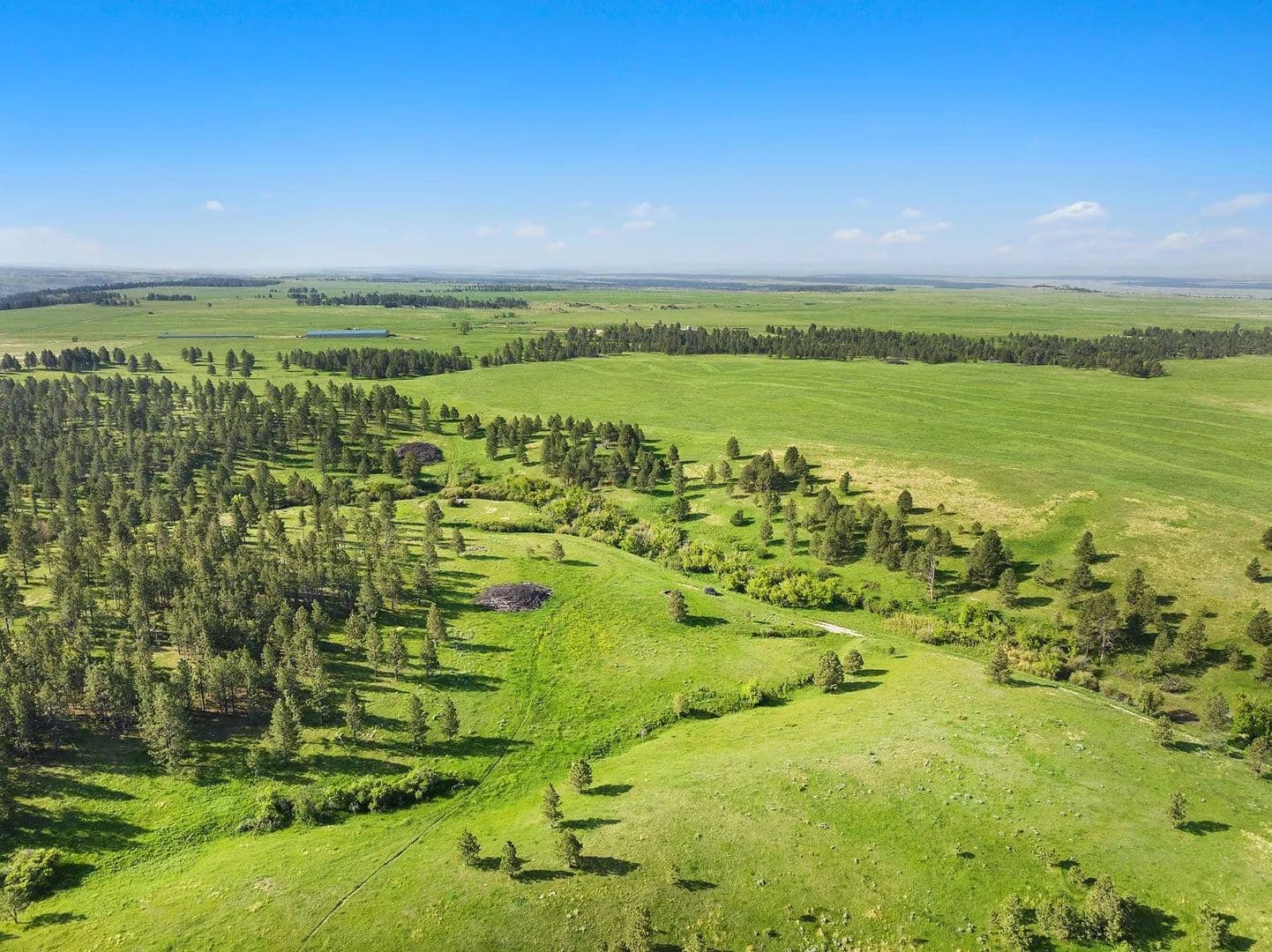 Piney Ridge Timber Ranch - Sundance, Wyoming, 82729