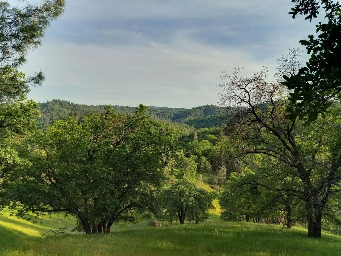 10.11 Acres of Land for Sale in Grass Valley, California - Grass Valley, California, 95949