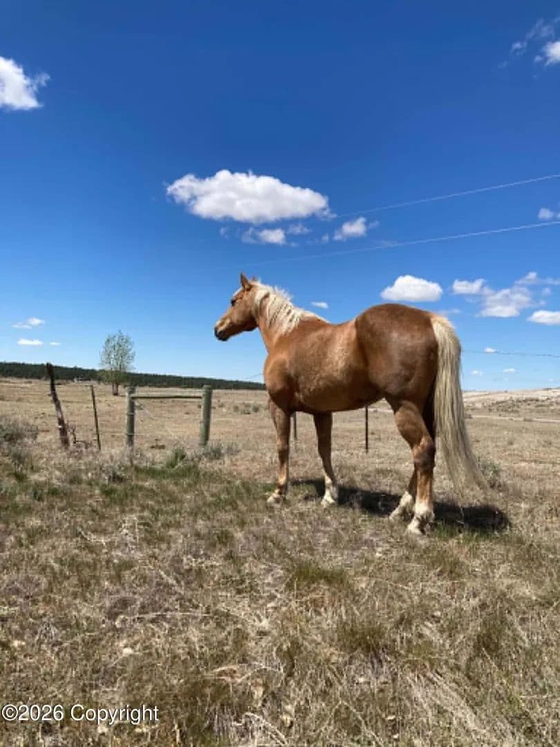 Property from Tbd Skull Creek - KW - Osage, Wyoming, 82723