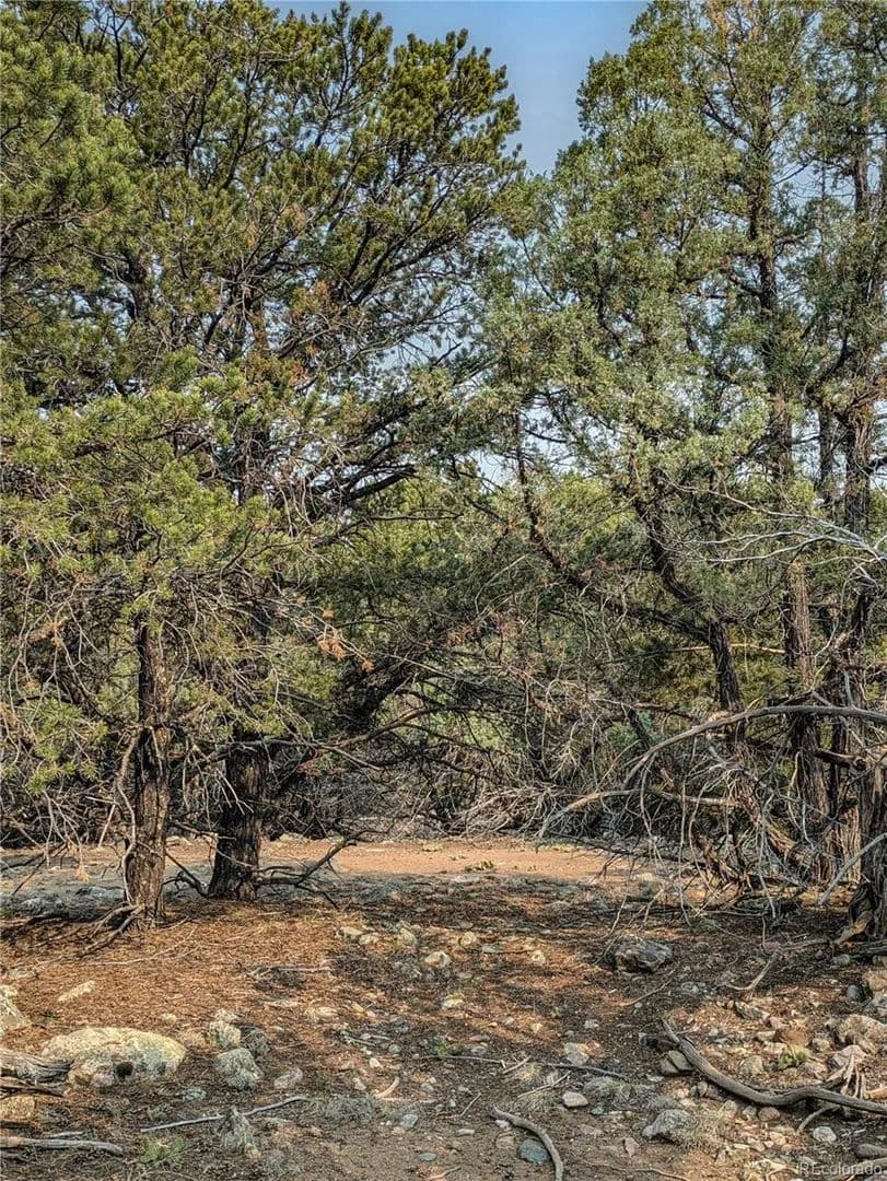 0.49 Acres of Land for Sale in Crestone, CO - Crestone, Colorado, 81131