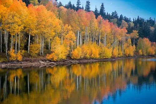 Vacant Land in Kolob - Utah, 84767