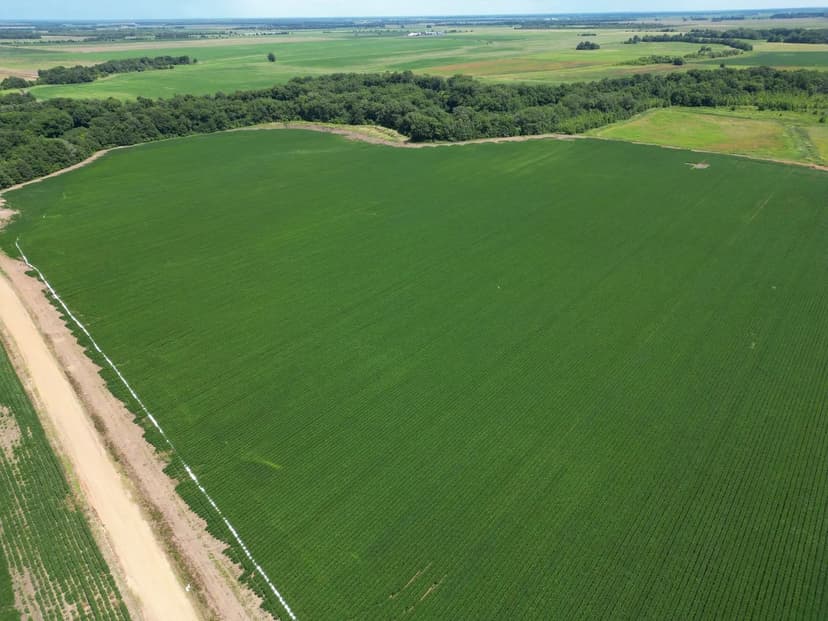 Irrigated Ag land with Recreational Opportunities