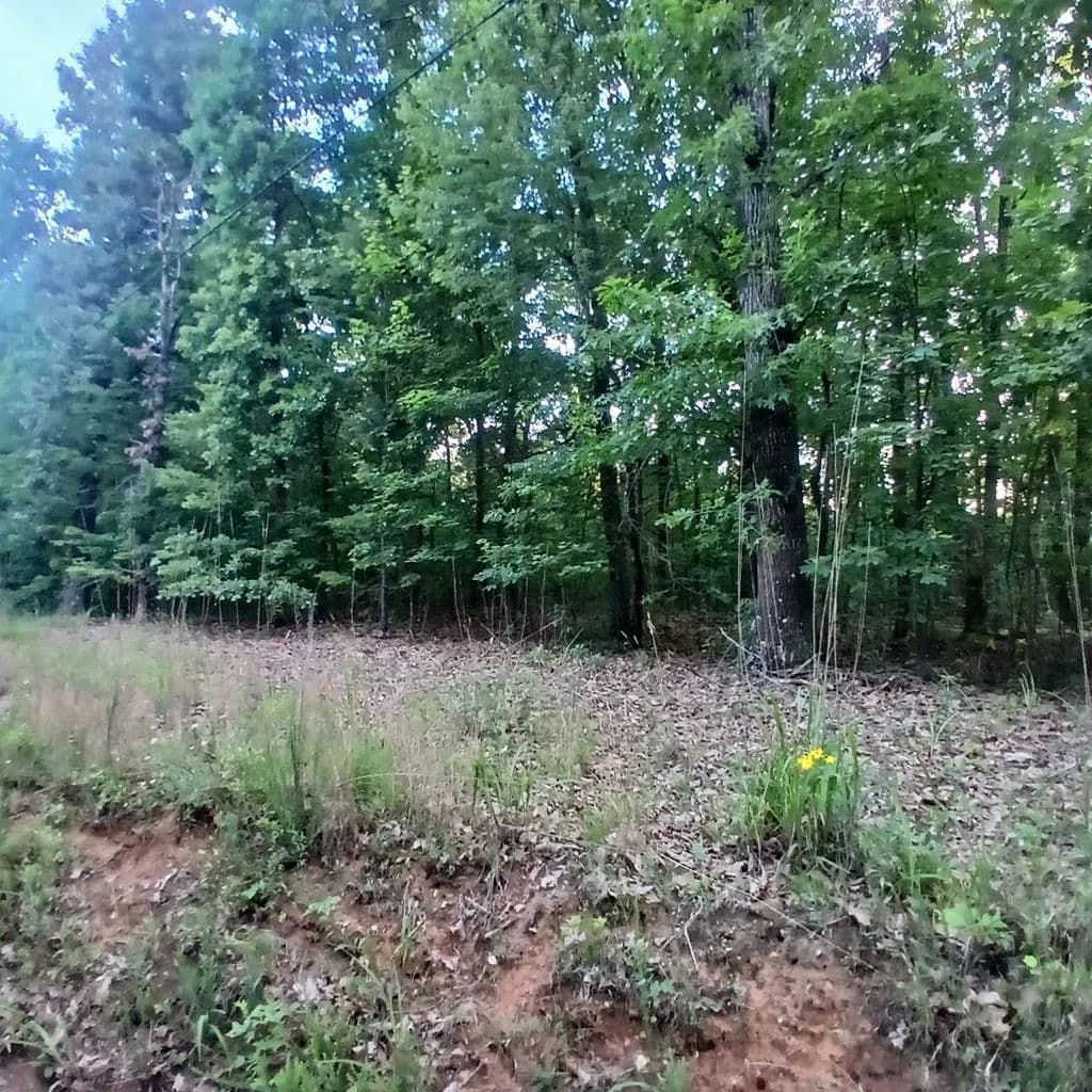 Property from Tr. 2 Raven Cliff Road - KW - Talking Rock, Georgia, 30175