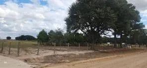10 Acres of Land for Sale in East Bernard, Texas - East Bernard, Texas, 77435